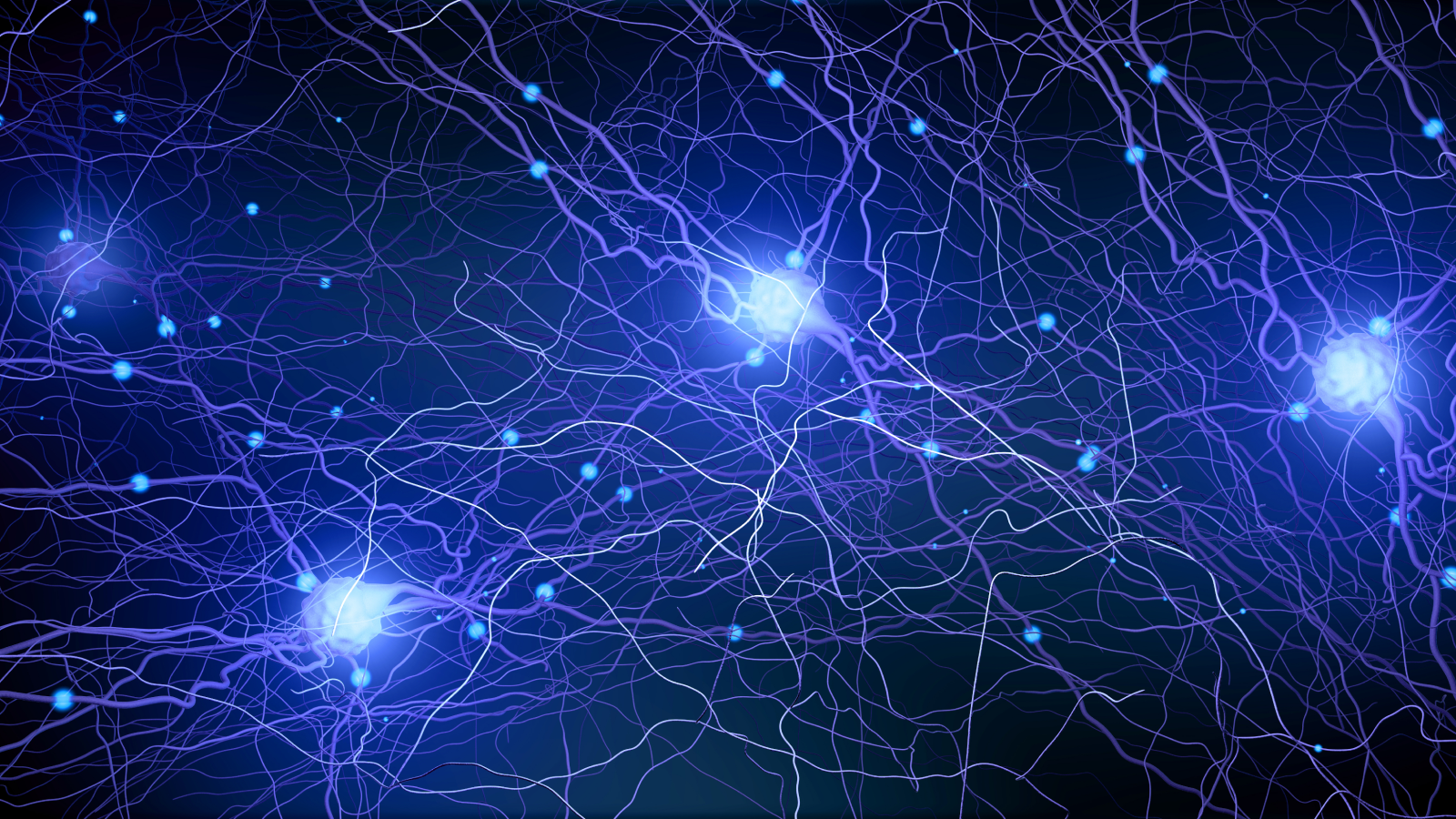 
      Astra Network 的深度学习模型展示了高精度和盈利能力