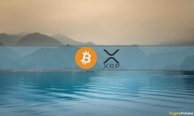
      XRP 反弹降温购买更多 BTC市场平静下来本周的加密货币回顾