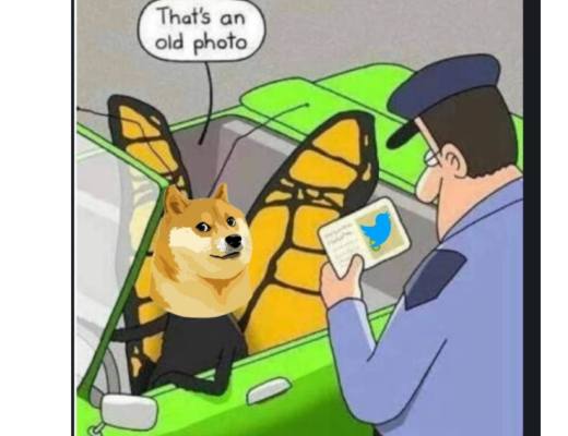 “推特换标” 马斯克掌握狗狗币生死 易造成投机和市场操控?