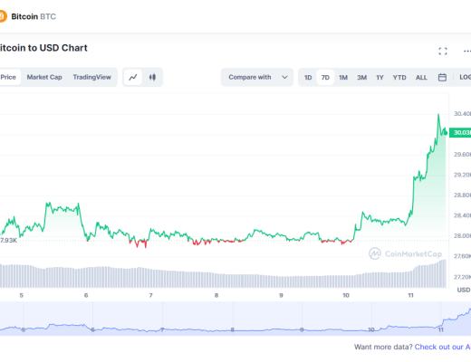 
      比特币突破30000美元 国内多平台已支持查询行情数据​
