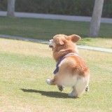 你就是币圈小王吧